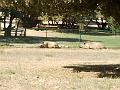2005-08 La BArben 050
